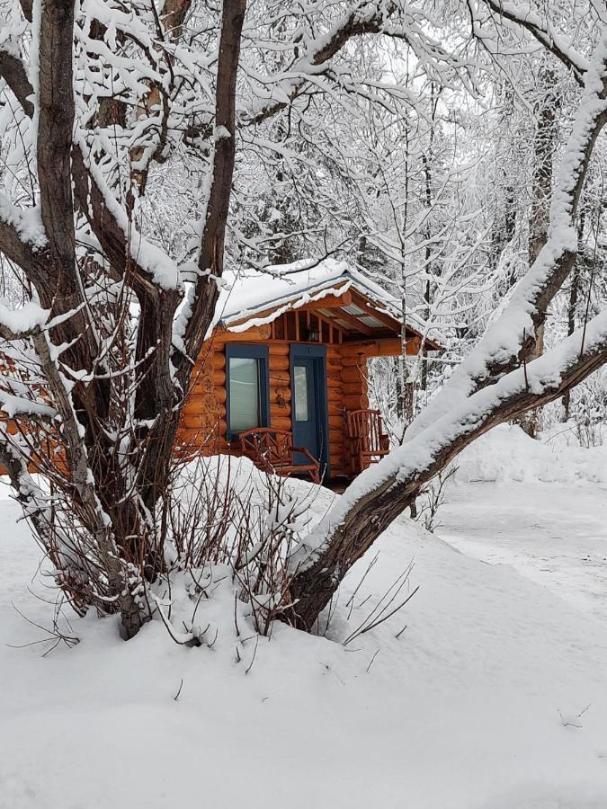 Hatcher Pass Cabins Palmer Zewnętrze zdjęcie